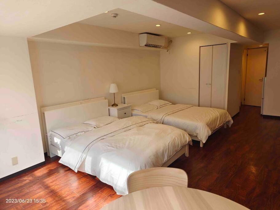 Apartment 日本橋電気街，动漫街denden Town大面積40㎡エレベーター直結